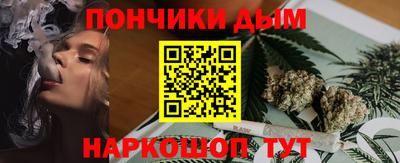 индика Можга