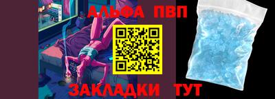 индика Можга