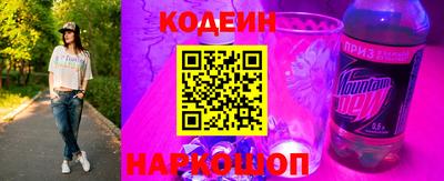 индика Можга