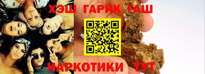 индика Можга