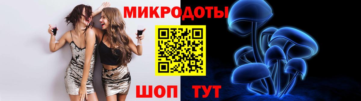 Псилоцибиновые грибы Psilocybe Старая Купавна